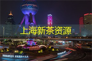 爱上海419：上海的滑板运动新趋势分析