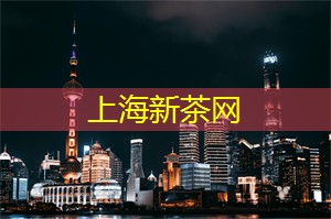 上海娱乐网：上海精彩夜生活：从街头到酒吧