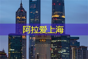 上海品茶网：环游上海的手工艺市场